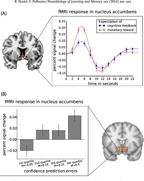 A universal role of the ventral striatum in reward.